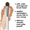 imageelf Wide Tapered Eyeshadow Brush Makeup Brush For Even Eyeshadow Application ampamp Definition Angled Tip For Precision Vegan ampamp CrueltyFree1 Count Pack of 1
